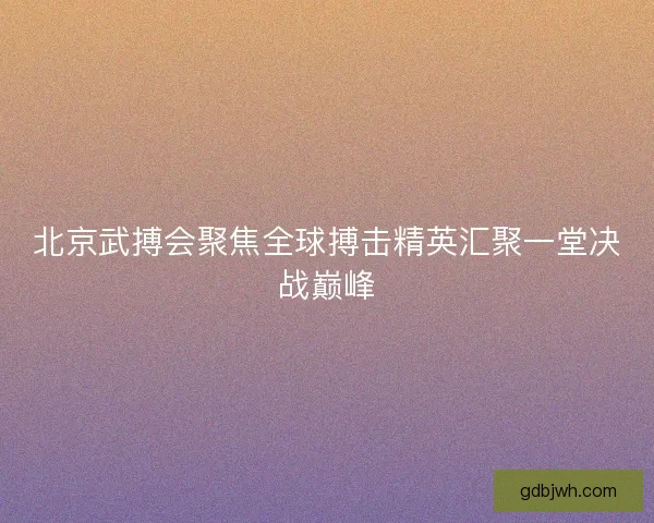 北京武搏会聚焦全球搏击精英汇聚一堂决战巅峰