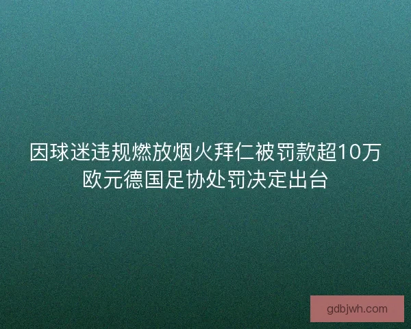 因球迷违规燃放烟火拜仁被罚款超10万欧元德国足协处罚决定出台