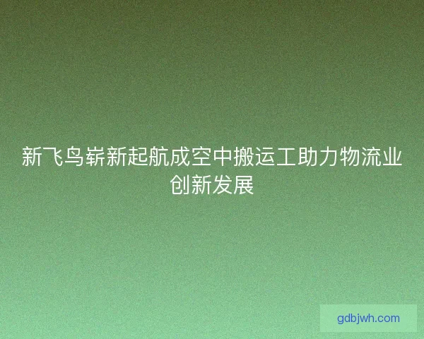 新飞鸟崭新起航成空中搬运工助力物流业创新发展