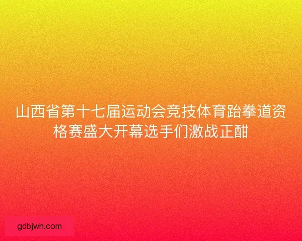 山西省第十七届运动会竞技体育跆拳道资格赛盛大开幕选手们激战正酣