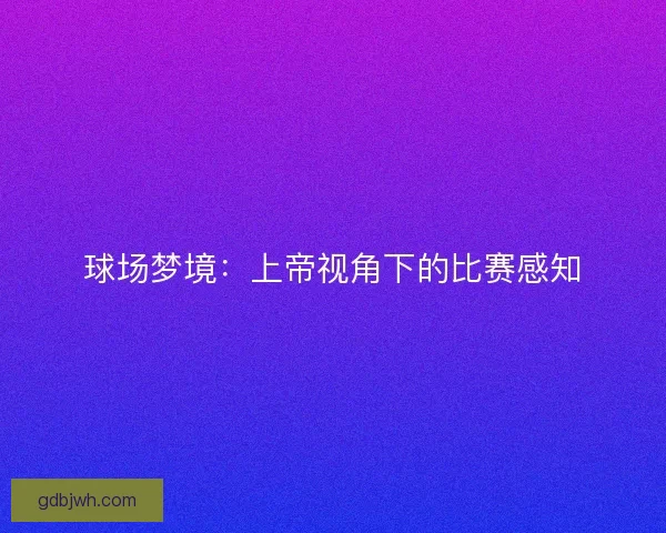 球场梦境：上帝视角下的比赛感知